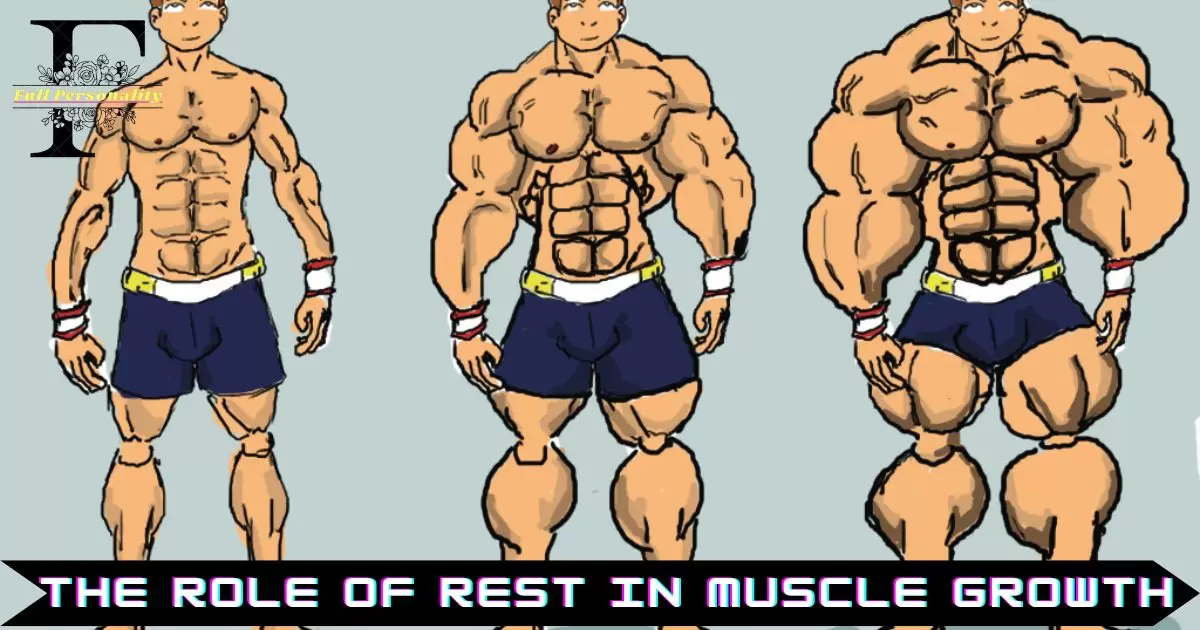 The Role of Rest in Muscle Growth