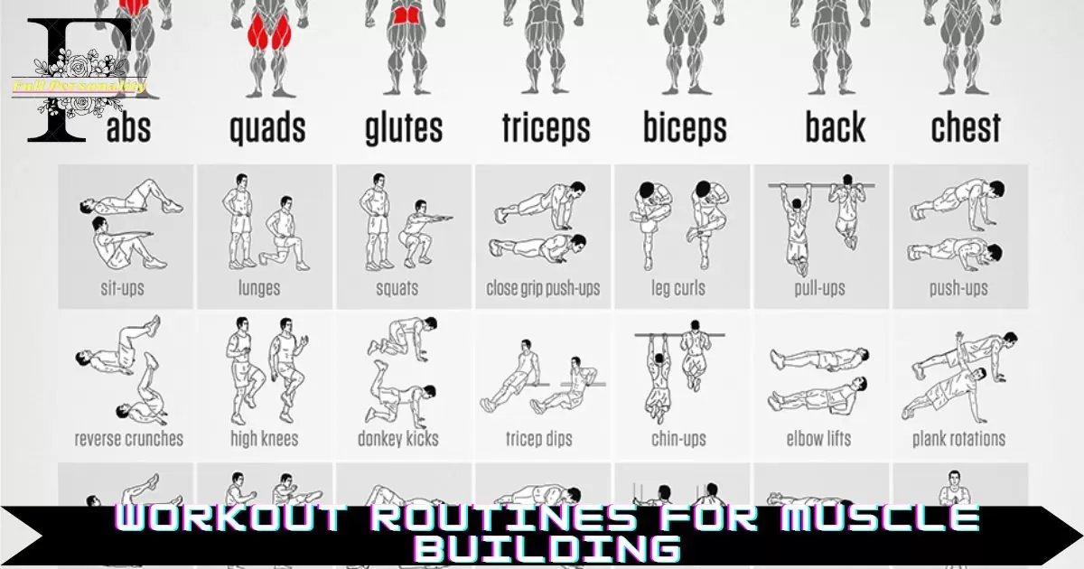 Workout Routines for Muscle Building