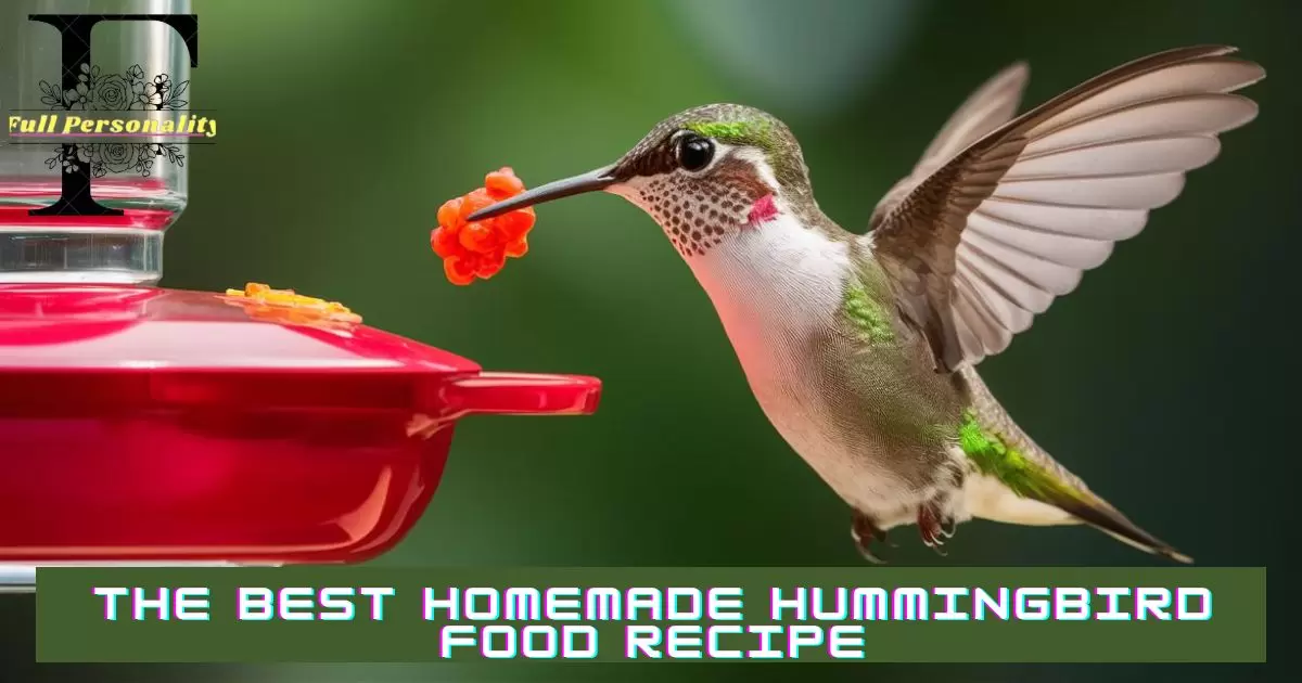 The Best Homemade Hummingbird Food Recipe